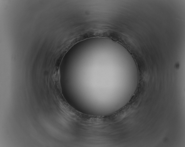 X0000089460914200707061259