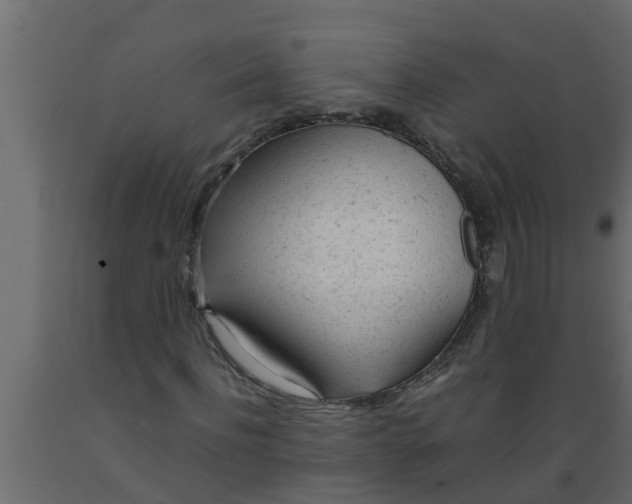 X0000089460916200707061259