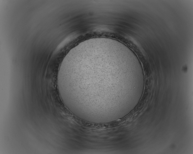 X0000089460919200707061259