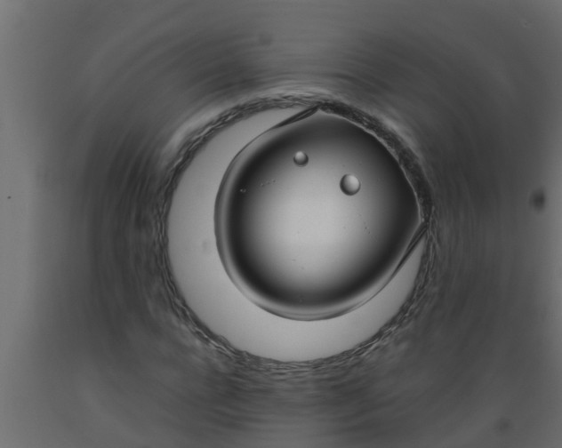 X0000089460920200707061259