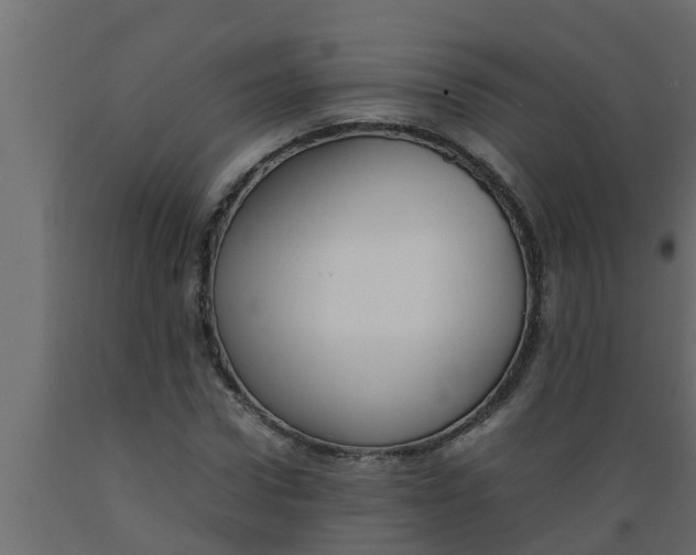 X0000089460922200707061259