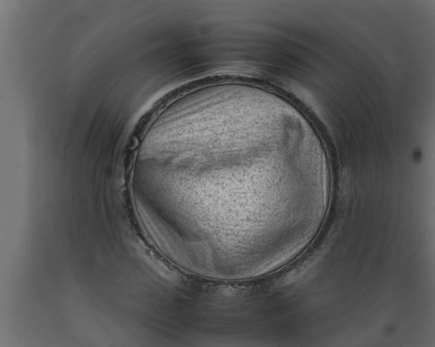 X0000089460923200707061300