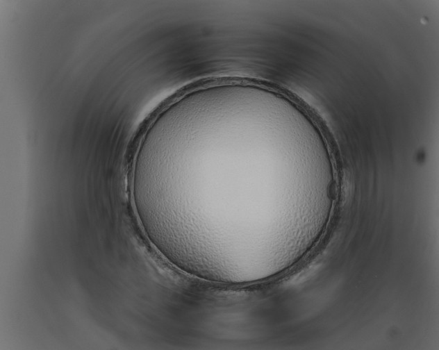 X0000089460925200707061300