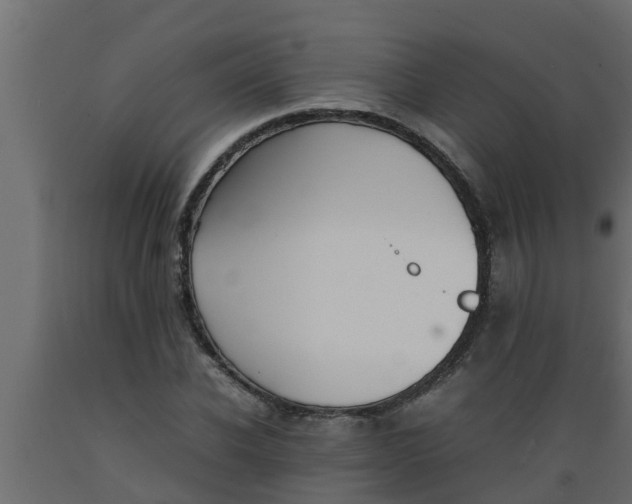 X0000089460926200707061300