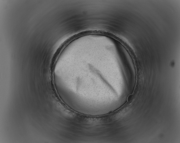X0000089460927200707061300