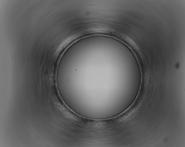 X0000089460930200707061300