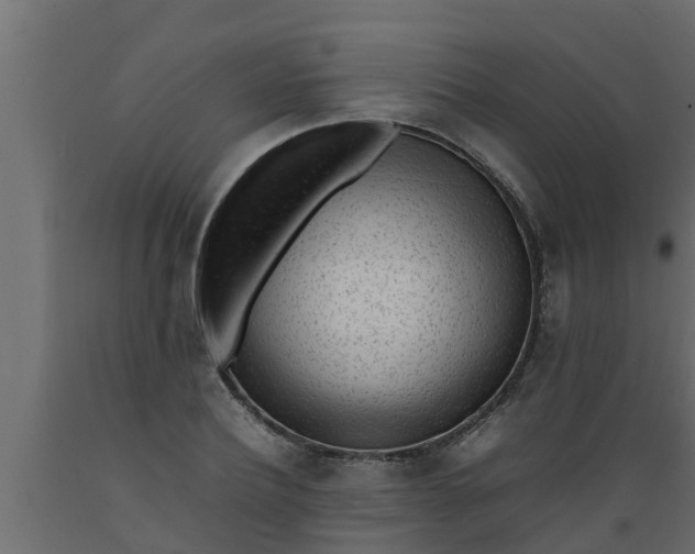 X0000089460932200707061300