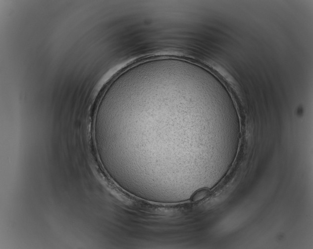 X0000089460933200707061300
