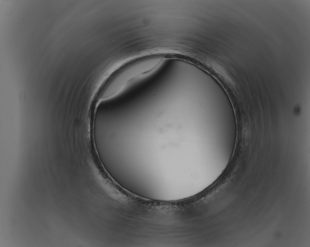 X0000089460934200707061300