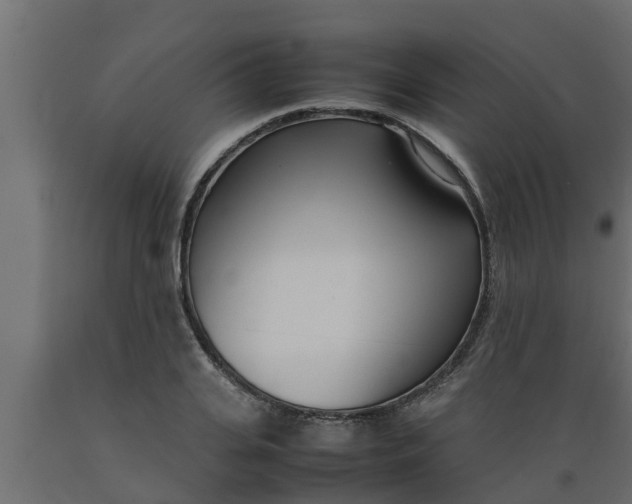 X0000089460935200707061300
