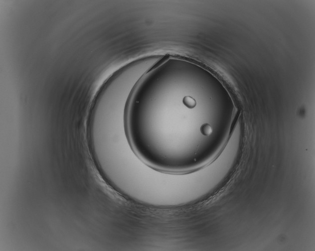 X0000089460936200707061300