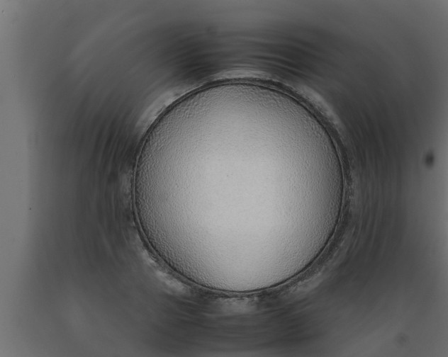 X0000089460937200707061300