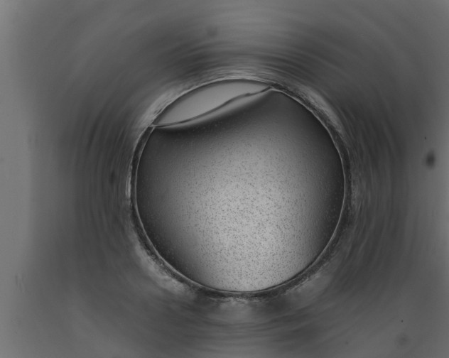 X0000089460938200707061300