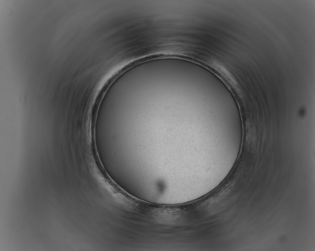 X0000089460939200707061300