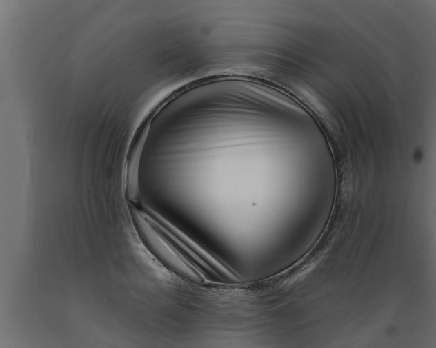 X0000089460940200707061300