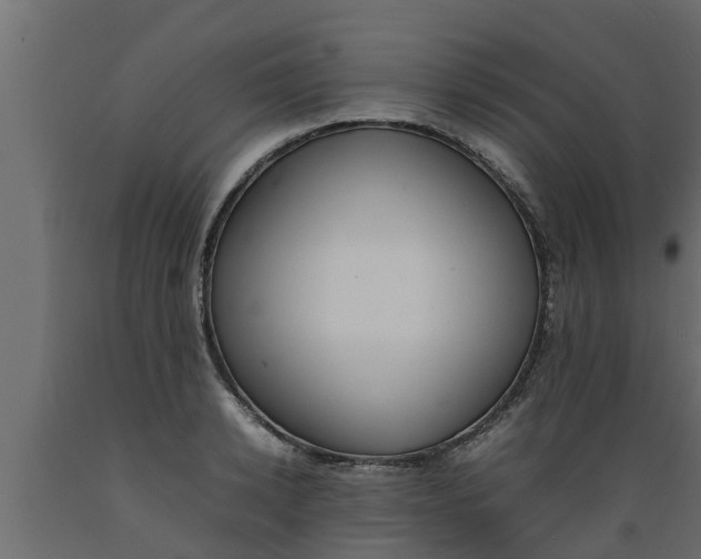 X0000089460942200707061300