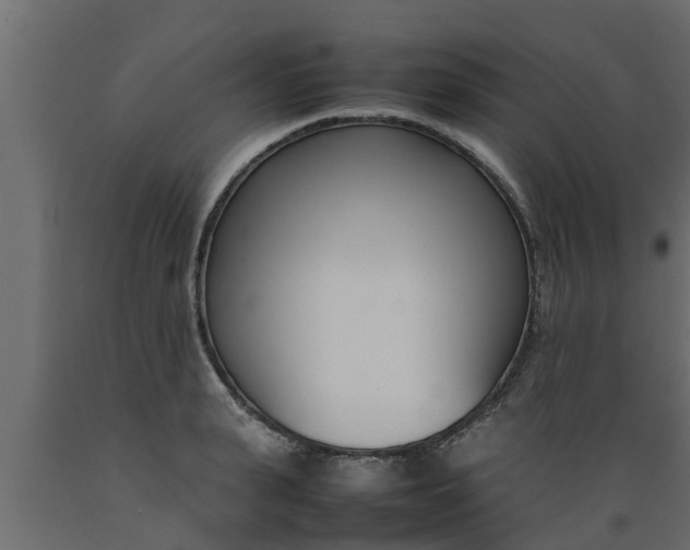 X0000089460943200707061300