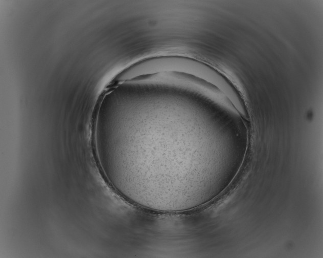 X0000089460944200707061300