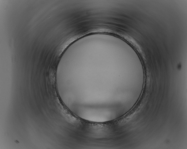 X0000089460945200707061300