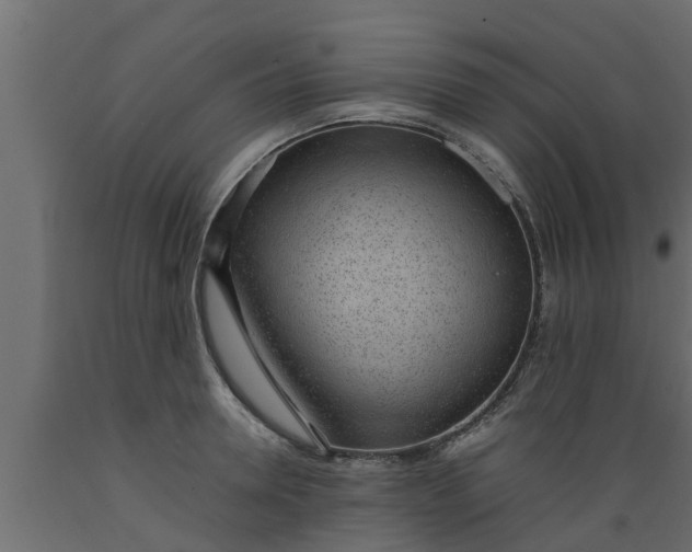 X0000089460946200707061300