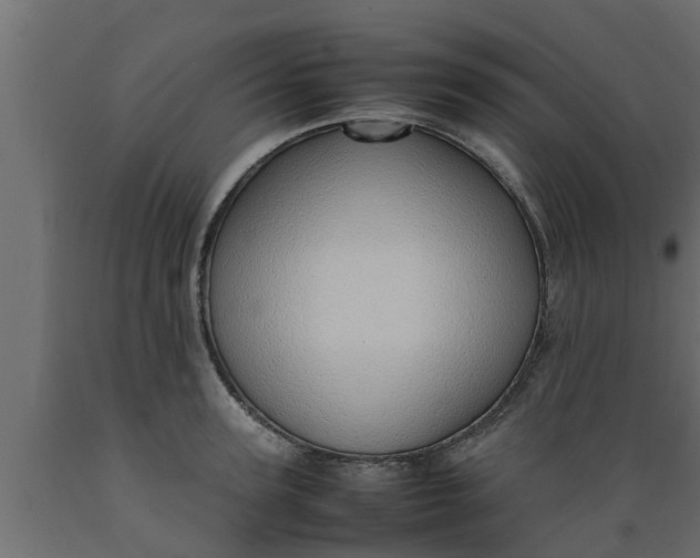 X0000089460947200707061300