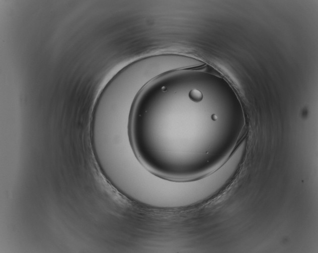 X0000089460948200707061300