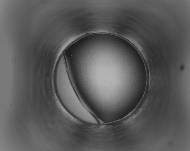 X0000089460949200707061300