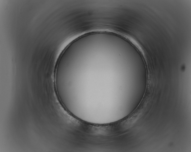 X0000089460951200707061300