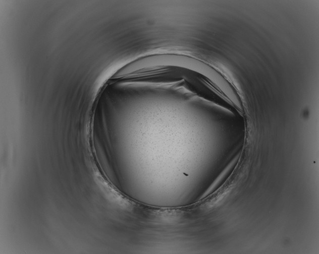 X0000089460952200707061300