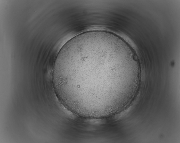 X0000089460953200707061300