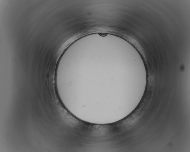 X0000089460954200707061300