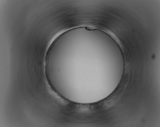 X0000089460955200707061300