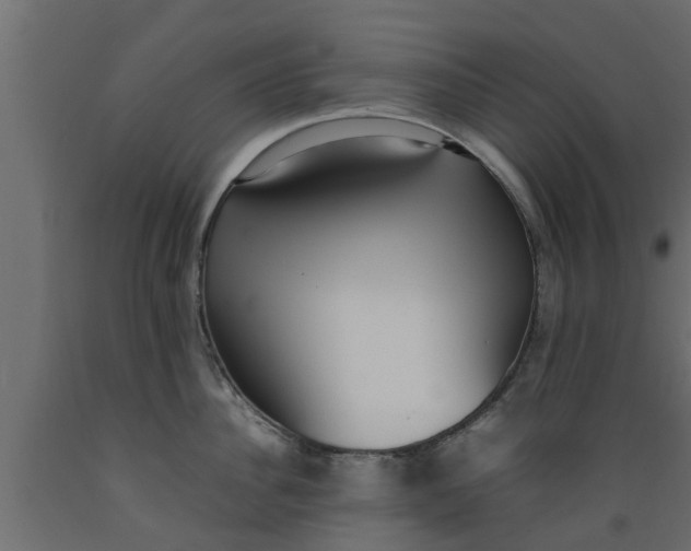 X0000089460956200707061300