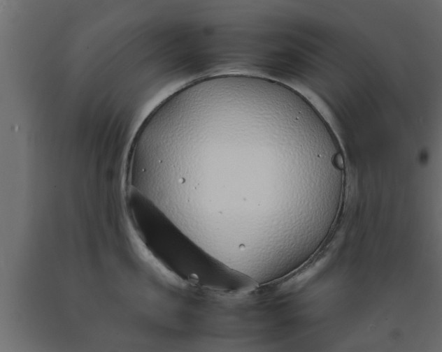 X0000089460957200707061300