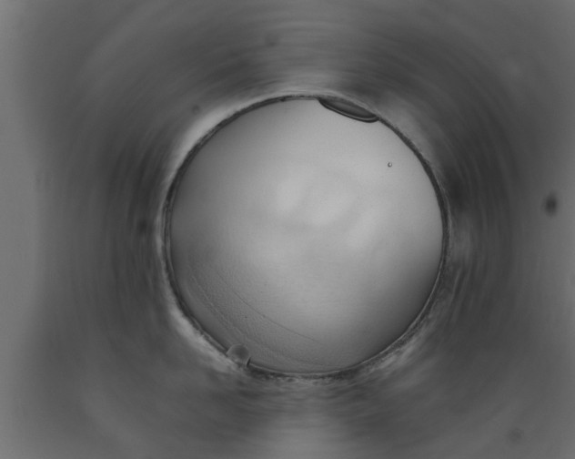 X0000089460958200707061300
