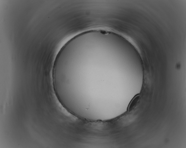 X0000089460959200707061300