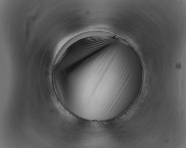 X0000089460960200707061300