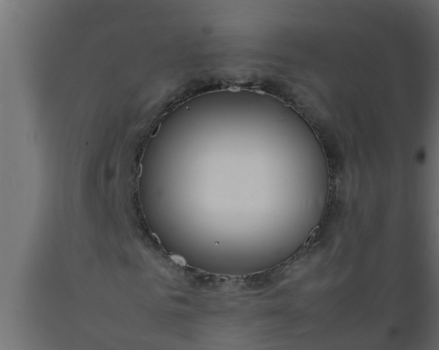 X0000089460961200707061259