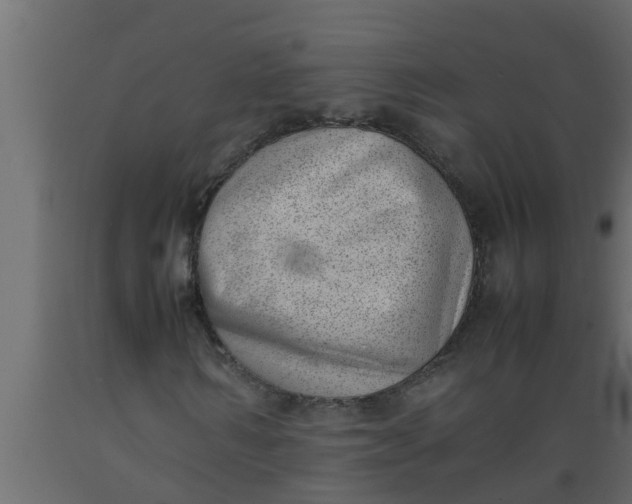 X0000089460962200707061259