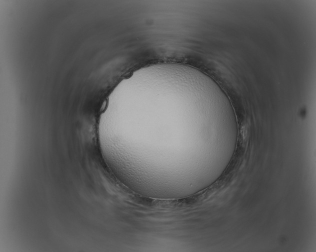 X0000089460963200707061259