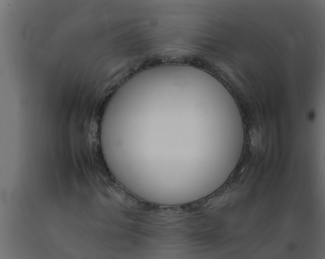 X0000089460964200707061259