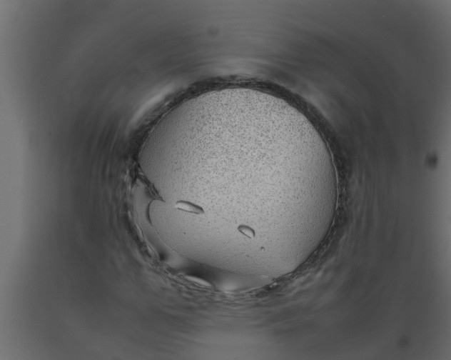 X0000089460967200707061259
