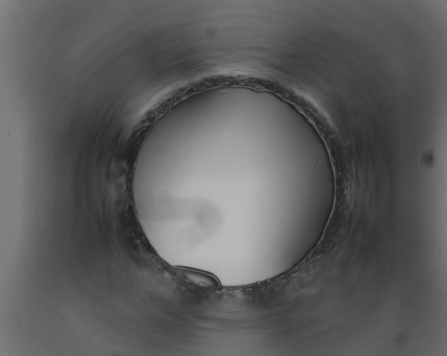 X0000089460968200707061259