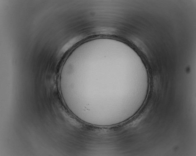X0000089460970200707061259