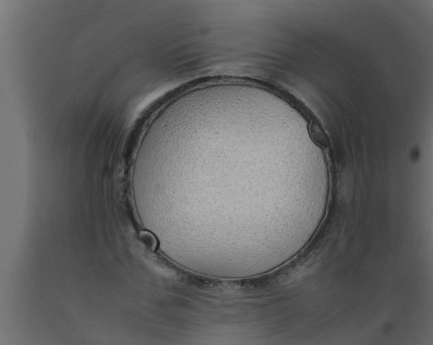 X0000089460971200707061259