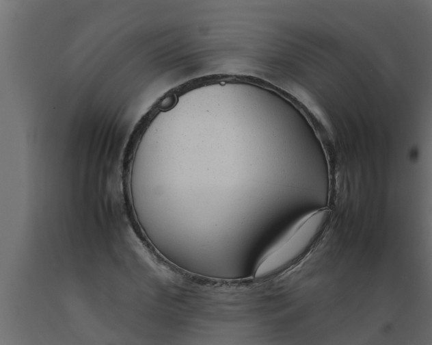 X0000089460972200707061259