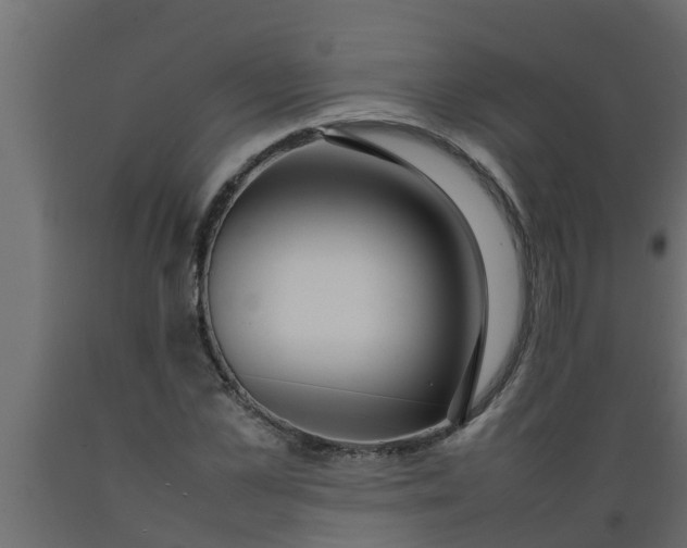 X0000089460973200707061259