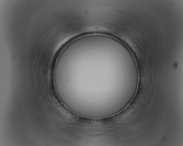X0000089460975200707061259