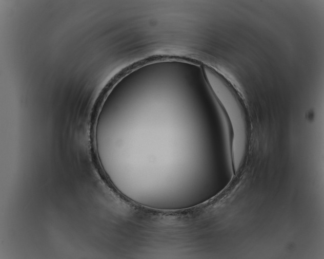 X0000089460976200707061259
