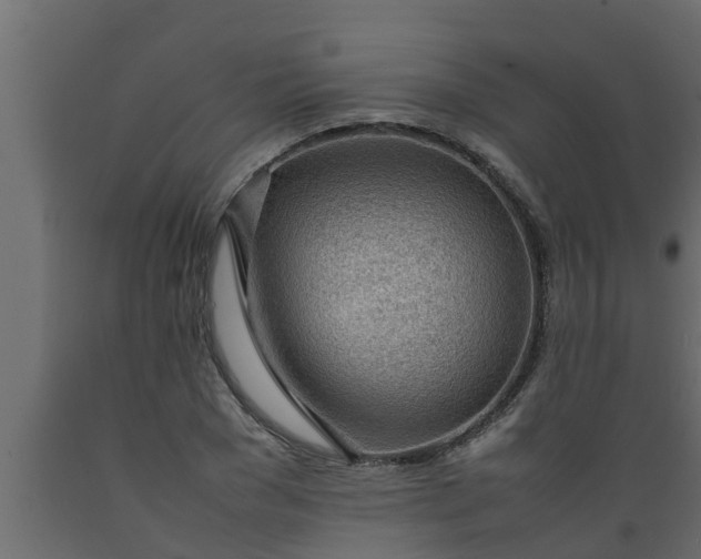 X0000089460977200707061259